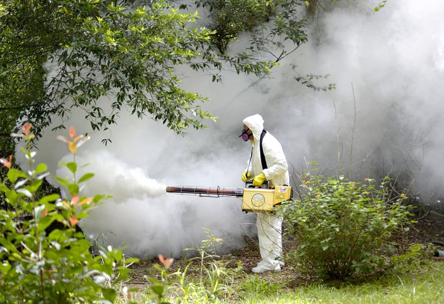 Профессиональное уничтожение садовых муравьев